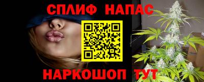 a pvp Будённовск