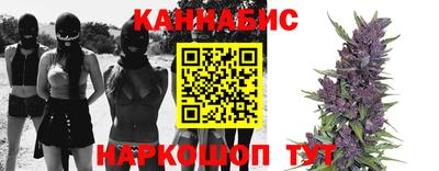 a pvp Будённовск