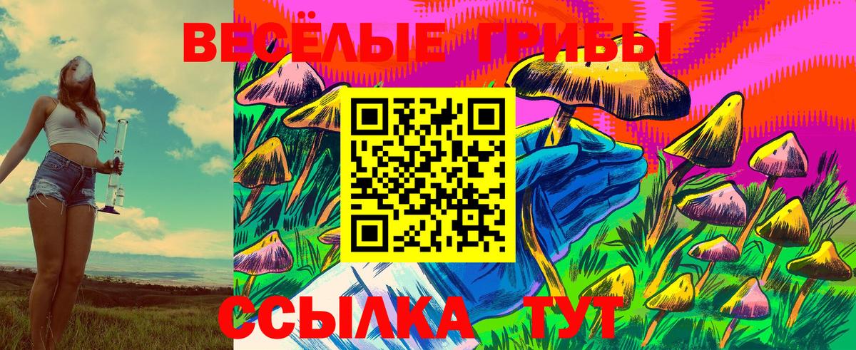 Североморск  Псилоцибиновые грибы прущие грибы  Галлюциногенные грибы GOLDEN TEACHER  купить наркотик  Вход с VPN 